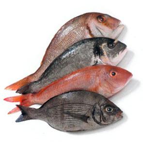 scegliere il pesce