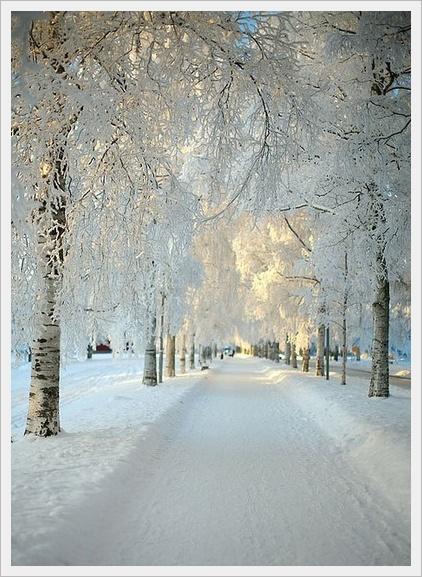 Winter Wonderland...