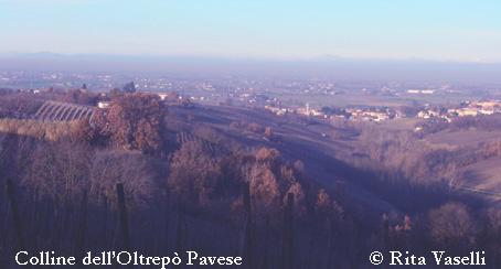 Colline dell'Oltrepò Pavese: Inverno