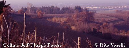 Colline dell'Oltrepò Pavese: Inverno