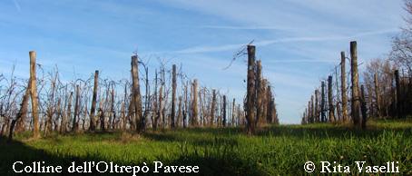 Colline dell'Oltrepò Pavese: Inverno