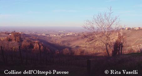 Colline dell'Oltrepò Pavese: Inverno