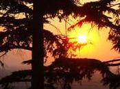 l'inverno anche se....