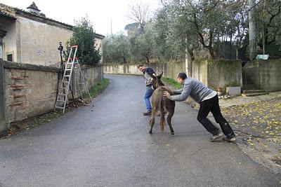 il backstage del presepe fotografico