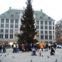 Amsterdam-piazza-Rembrandtplein