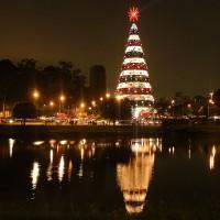 alberi-di-natale-sao-paulo