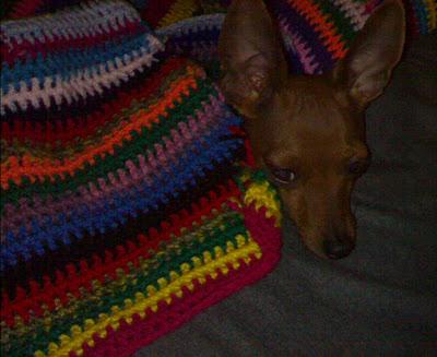 IL MIO SENSO DEL DOVERE ALLE SEI DEL MATTINO