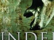 Gavriel Kay: Under Heaven