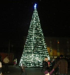 albero di Natale, Borgoratto