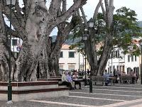 Madeira a l'est