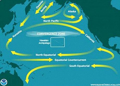 LE CORRENTI DEL PACIFICO NON MENTONO: RADIAZIONI DI FUKUSHIMA IN TUTTO L'OCEANO...