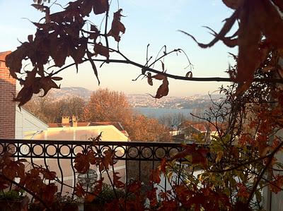 i Giardini dei mestieri_ Architetto del Paesaggio