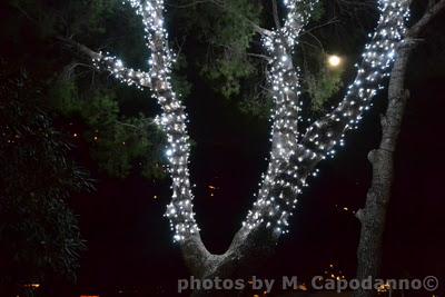 SANTA LUCIA  festeggiata  a Chiesa Nuova