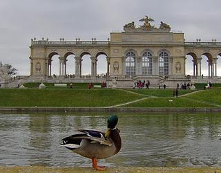 Capodanno con chi vuoi...a Vienna!!!!