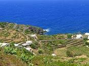 Pantelleria, isola Dammusi capperi