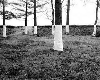 Tree, Line di  Zender Olsen