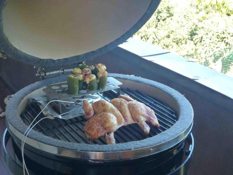 Provato per Voi: BBQ Guru ProCom 4