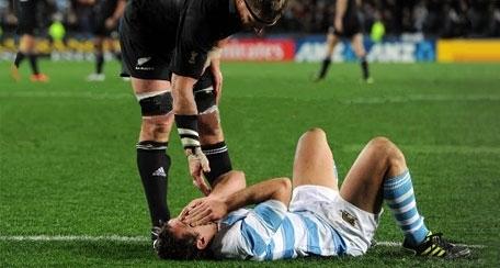 Photo of the year 2011, l’IRB premia “helping hand”