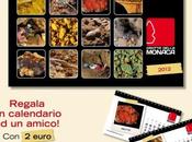 tempo calendari: Grotta della Monaca