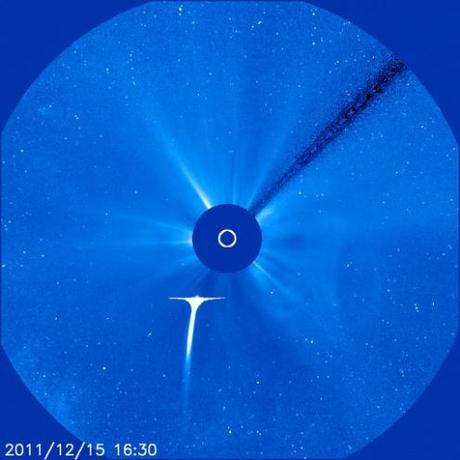 La cometa Lovejoy diretta sul Sole
