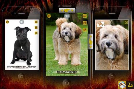 App Store: tutto sui cani con Dogs 360 Gold