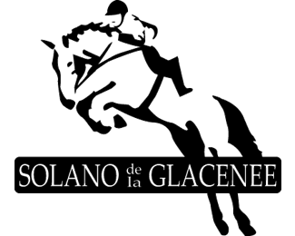 logo design dedicato al cavallo