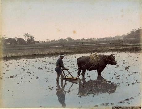 LA FOTOGRAFIA DEL GIAPPONE (1860-1910). I CAPOLAVORI: a Venezia, Palazzo Cavalli Franchetti dal 17 dicembre 2011 al 1 aprile 2012