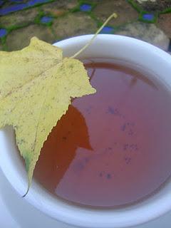 MAPLE TEA