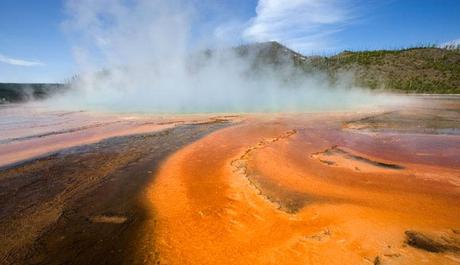 LO YELLOWSTONE STA' DIVENTANDO 