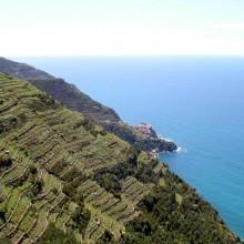 A piedi per le Cinque Terre