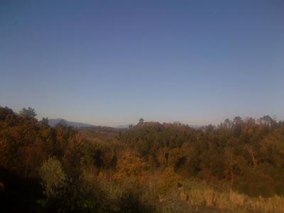 il mio blog ha già compiuto due anni