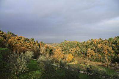 il mio blog ha già compiuto due anni