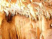 Record visitatori alle grotte Villanova(Zavrh)-tratto quindicinale