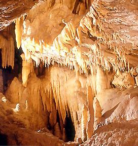 Record di visitatori alle grotte di Villanova(Zavrh)-tratto dal quindicinale Dom