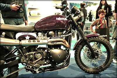 Purple Scrambler