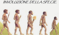 INVOLUZIONE DELLA SPECIE