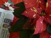 natura morta stella natale