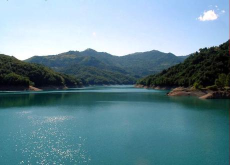 Il lago del Brugneto, l’oasi dei daini