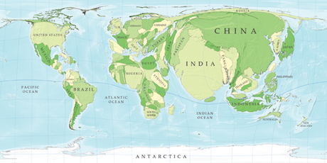 L'evoluzione umana in un ottica emergentista: un'ipotesi
