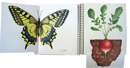 primavera estate - topipittori