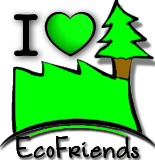 Ecofriends, l’impegno per un mondo green e … me
