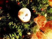 Come realizzare splendidi centrotavola natalizi