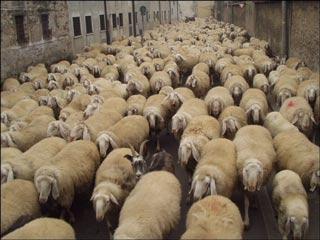 La Dogana delle Pecore abita a Eni Gas & Power