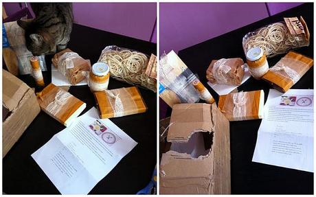 PICI AL SUGO E FOOD SWAP