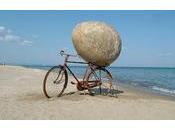 Professione fosse stato addestrato parlare,fo...