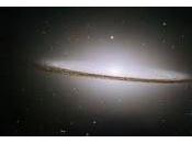 trovato posted Liliana Spataru