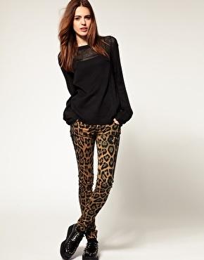 Leopard Love