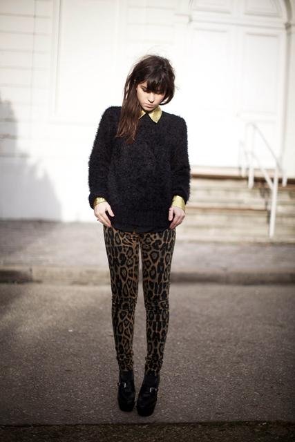 Leopard Love