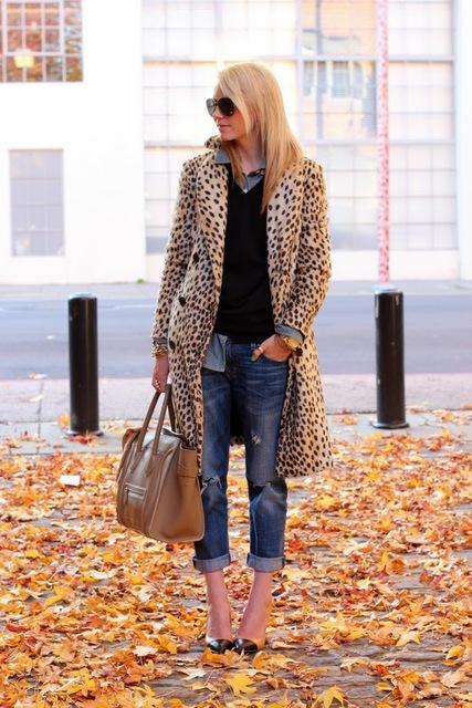 Leopard Love
