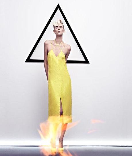 Cushnie et Ochs \\ Spring // 2012 Ad Campaign || Milou van Groesen by Hugh Lippe ||